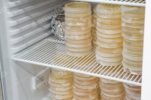 Preview: Petri dishes containing agar media are used to cultivate bacterial colonies in laboratory incubator