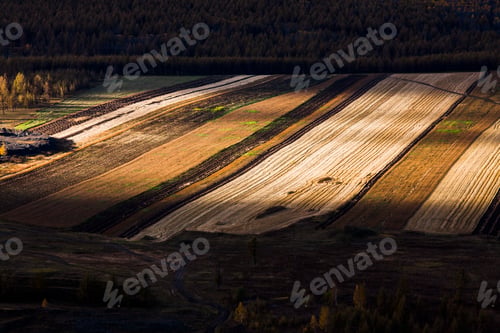 Preview: Field in autumn,China