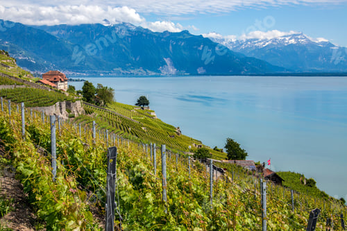Preview: Lake Geneva - Switzerland