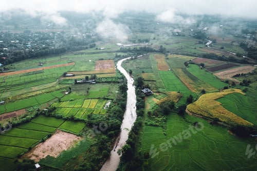 Preview: rice field in the morning in asia