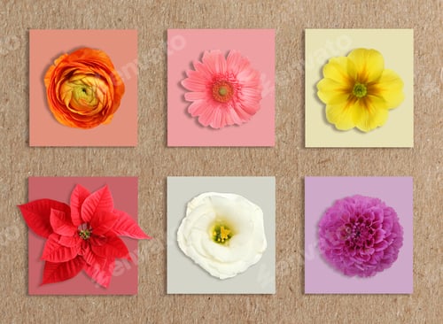 Preview: Multicolor flowers and cards of similar shades on kraft paper, collage. Montessori method