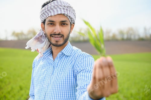 Preview: worry less ,indian farmer standing in his healthy wheat field