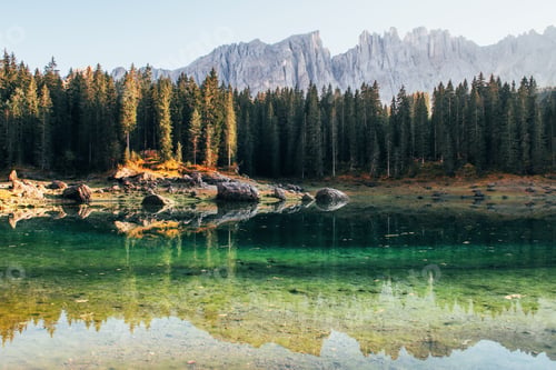 Preview: Green surface under the water. Autumn landscape with clear lake, fir forest and majestic mountains