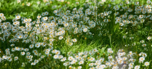 Preview: Adding a little colour to springtime