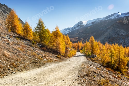Preview: Autumn landscape with road and forest
