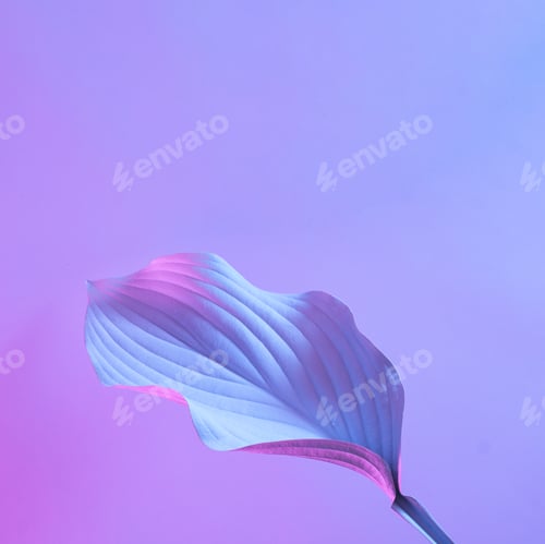Preview: Plant leaf in the future with innovation and technology in neon illuminated light