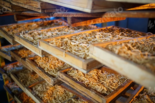 Preview: Raw pasta, spaghetti and noodles lie on a shelf in a wooden box at the factory. Making pasta