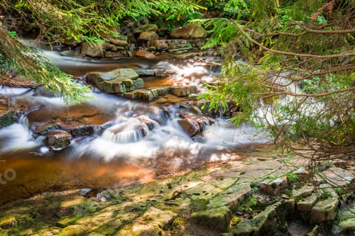 Preview: Mountain stream among the forest