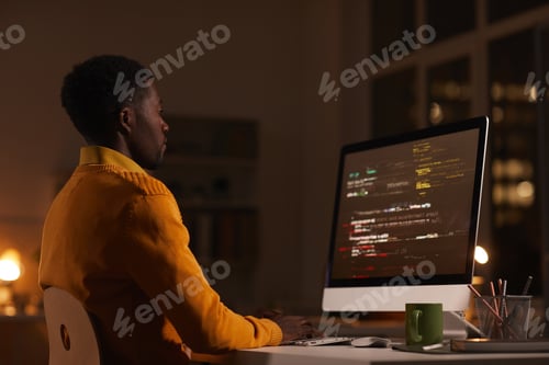 Preview: African-American IT Developer