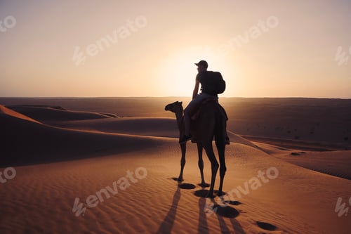 Preview: Camel riding in desert at golden sunset