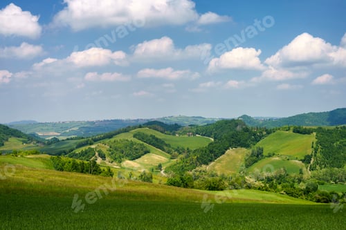 Preview: Rural landscape at May in Oltrepo Pavese near Zavattarello