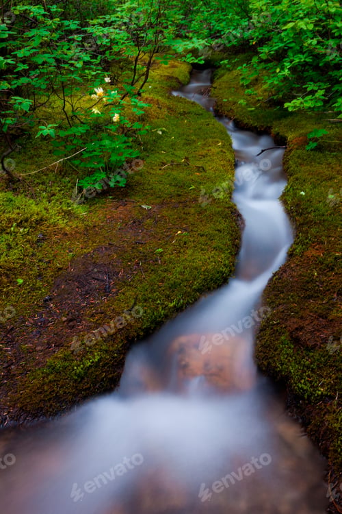 Preview: Alpine Stream, a time lapse effect, Jasper National Park, Alberta, Canada