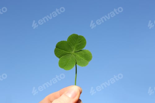 Preview: Woman holding one beautiful green clover leaf against blue sky, closeup