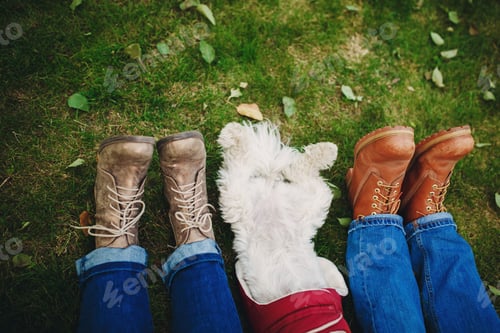 Preview: Dog and couple on the green grass with leaves. Feet close up. Focus on feet. People relaxing after