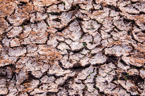 Preview: Crack and dry soil texture, Background