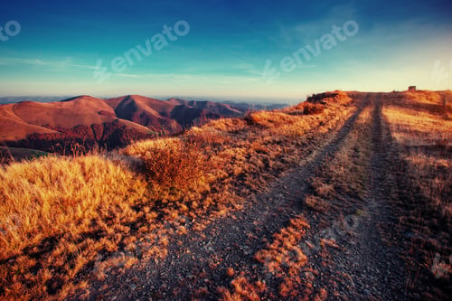 Preview: autumn alley. Dramatic morning scenery. Ukraine