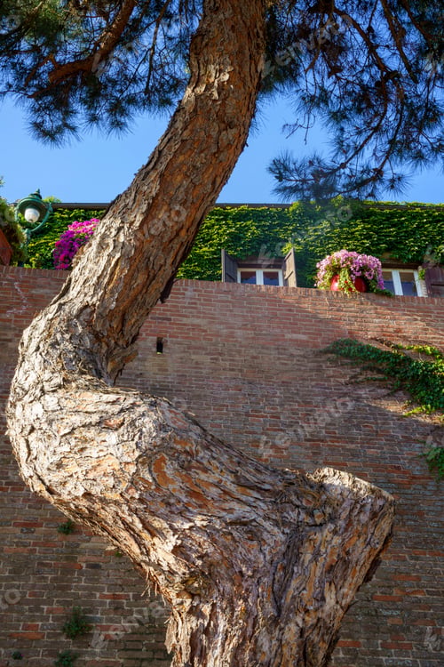 Preview: Walls of Fiorenzuola di Focara, Pesaro province