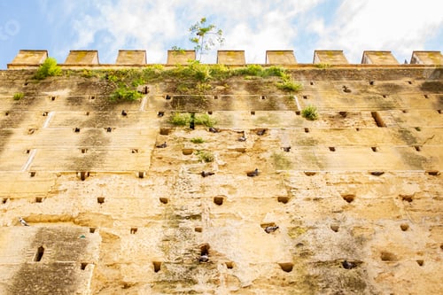 Preview: Low angle shot of a facade of an old building full of pigeons nests in Spain