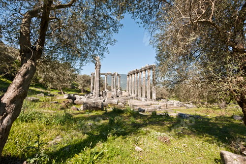 Preview: Euromos, Aegean Turkey