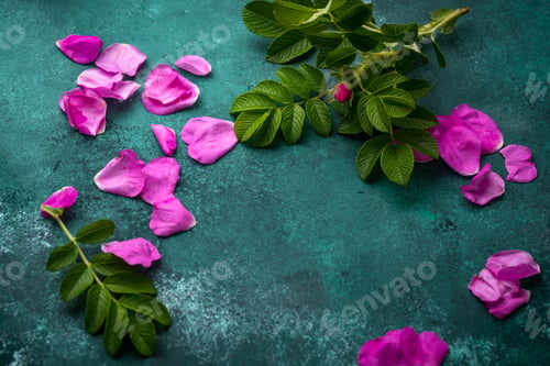 Preview: Pink rose hip petals with leaves