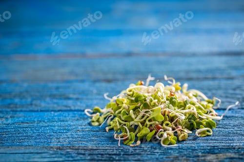 Preview: Heap of sprouted radish seeds
