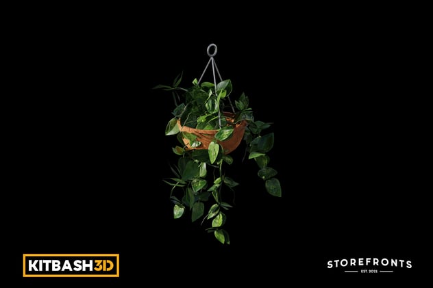 Kitbash: Storefronts - Hanging Pothos Plant 3D, Incl. hanging & nature ...