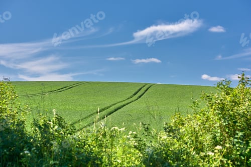 Preview: Green fields and blue sky in spring. Farmland in springtime - lots of copy space.
