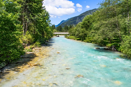 Preview: Amazing turquoise river surrounded by green trees in spring or summer.