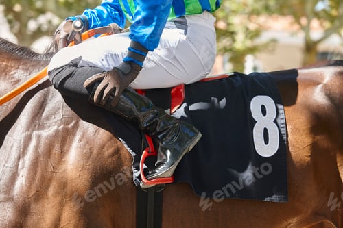 Preview: Race horse with jockey detail. Purebred in the hippodrome. Turf