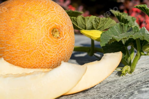 Preview: Whole and sliced melon on wooden table outdoors