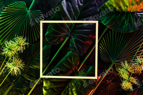 Preview: top view of square and various tropical leaves with colorful lighting