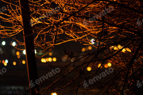 Preview: Closeup shot of tree branches with city lights on the background at night