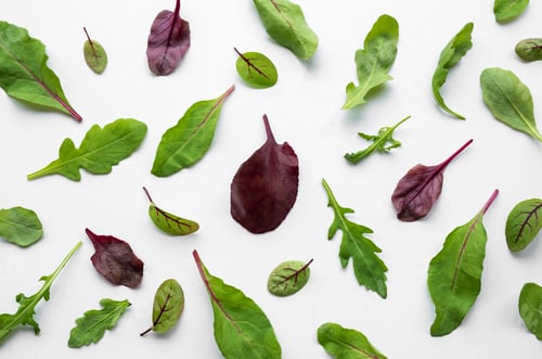 Preview: Salad Leaves on white background