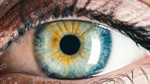 Preview: Stunning blue eye