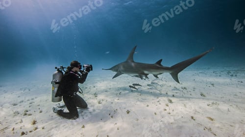 Preview: Underwater view of female underwater photographer, photographing from seabed