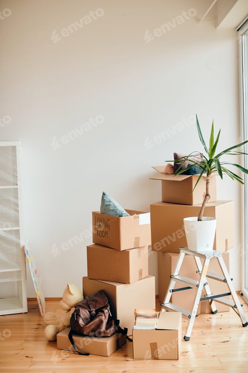 Preview: Carboard boxes and potted plant in a new apartment.