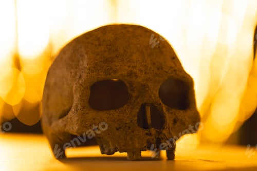 Preview: Skull and yellow bokeh blurred lights with copy space and wooden surface