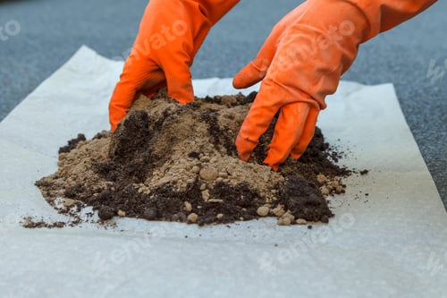 Preview: The process of preparing the soil for planting indoor plants