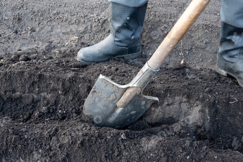 Preview: Digging a hole for planting trees with an old metal shovel. Seasonal work in the garden.