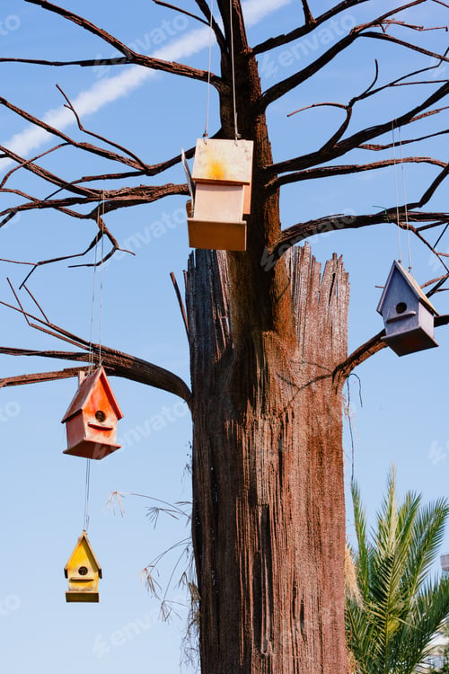 Preview: Decorative Birdhouses Hanging On Bare Tree