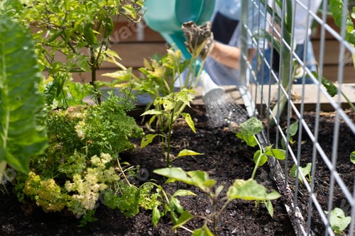 Preview: child watering a seedling in a community garden