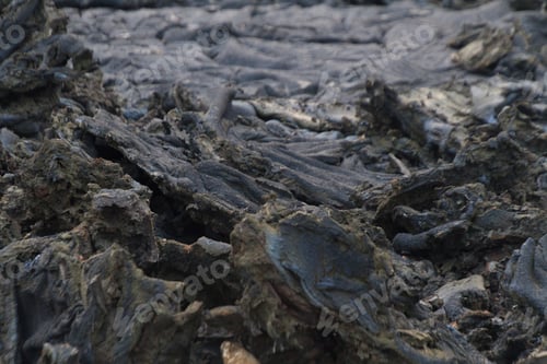 Preview: Closeup shot of a fresh lava field in Iceland with its small details