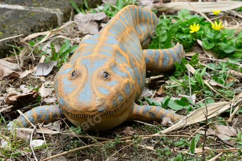 Preview: Reconstruction of a Devonian amphibian Ichthyostega