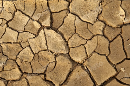 Preview: Global Warming Concept Of Cracked Ground
