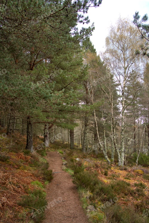 Preview: Burn O' Vat Park in Abohne, Scotland