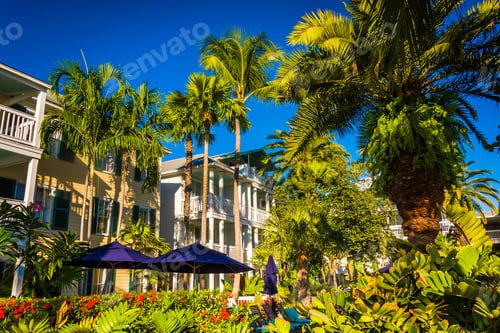 Preview: Palm Trees And Buildings In Key West, Florida.