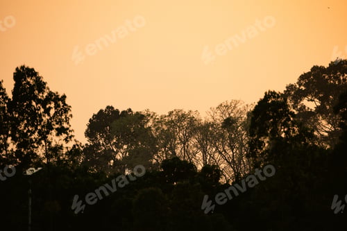 Vista previa: Sunset forest silhouette, orange sky, tree line dusk, tranquil nature view
