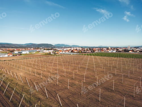 Preview: Aerial view over agricultural field, where hops grew in the season