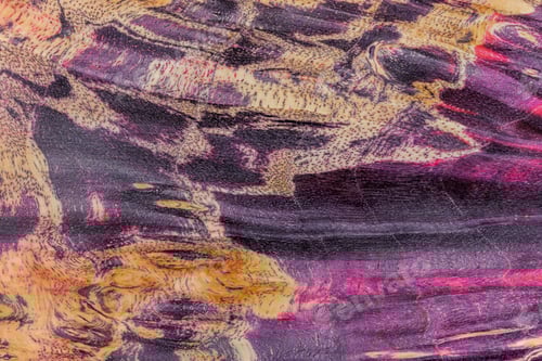 Preview: Macro photography of a stabilized wooden block with a color dye,