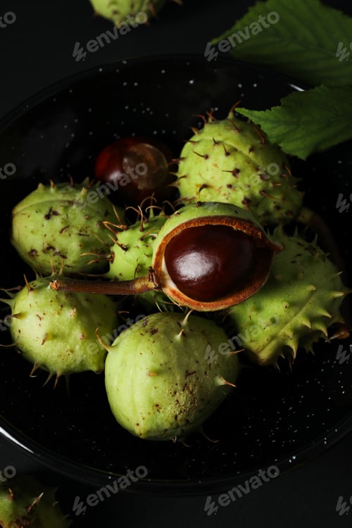Preview: Fresh and ripe chestnuts, Autumn season chestnuts